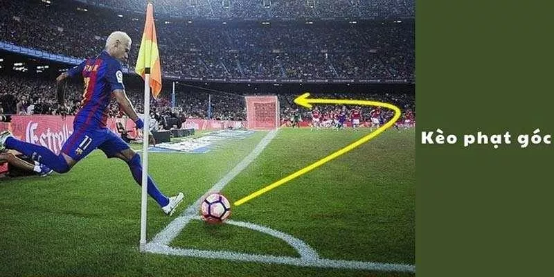 Các câu hỏi thường gặp về cược tài xỉu góc tại oxbet