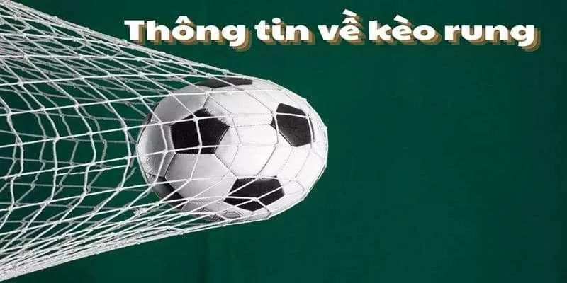 Các chiến thuật tối ưu để cược kèo rung tài tại oxbet - Nâng cao khả năng thắng lợi