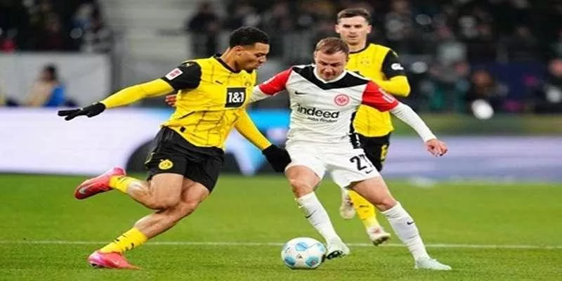 Các yếu tố quan trọng trong nhận định kèo sớm tại oxbet