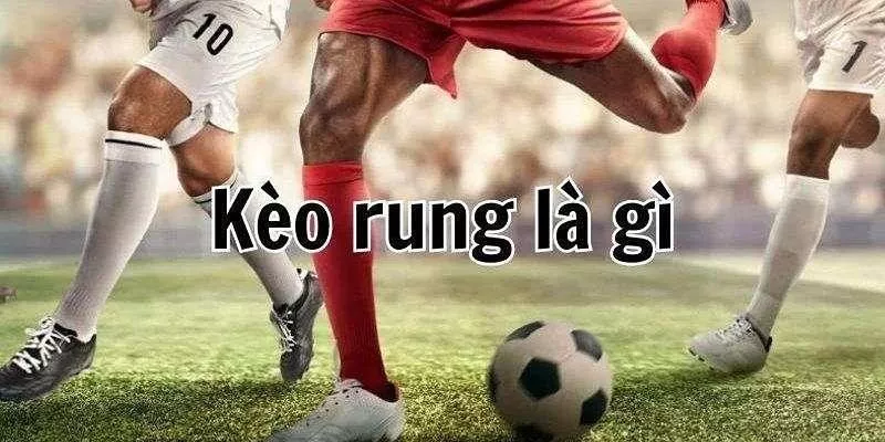 FAQs về cược kèo rung tài tại oxbet