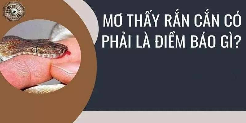 Phân tích tâm lý - Giấc mơ phản ánh trạng thái hiện tại của bạn