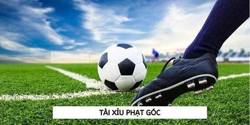 Tại sao cược tài xỉu góc tại oxbet lại trở thành lựa chọn ưa thích của các cược thủ?